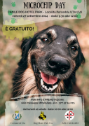 Uta: Microchip Day