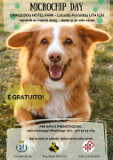 Uta: Microchip Day