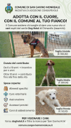 Sostenimento Adozioni