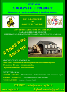 A Dog's Life Project - 1° seminario