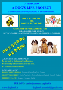 A Dog's Life Project  -2° seminario