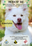 Microchip Day